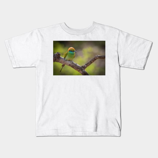 Bee Eater Kids T-Shirt by bkbuckley